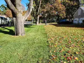 Lawn Maintenance Services