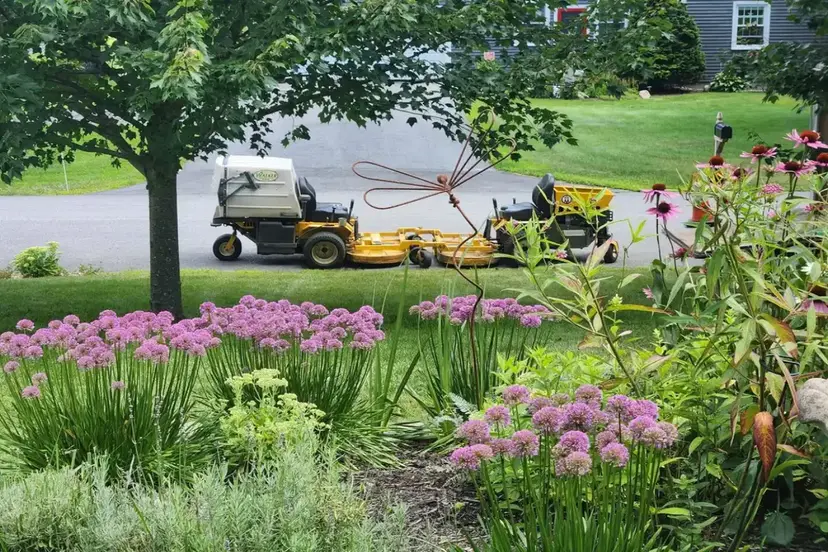 Perennial Garden Project
