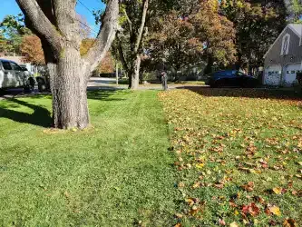 Four Season Landscaping