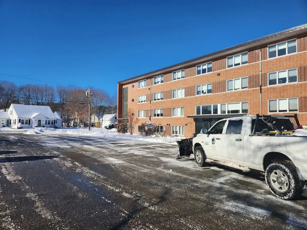 Professional Snow Removal